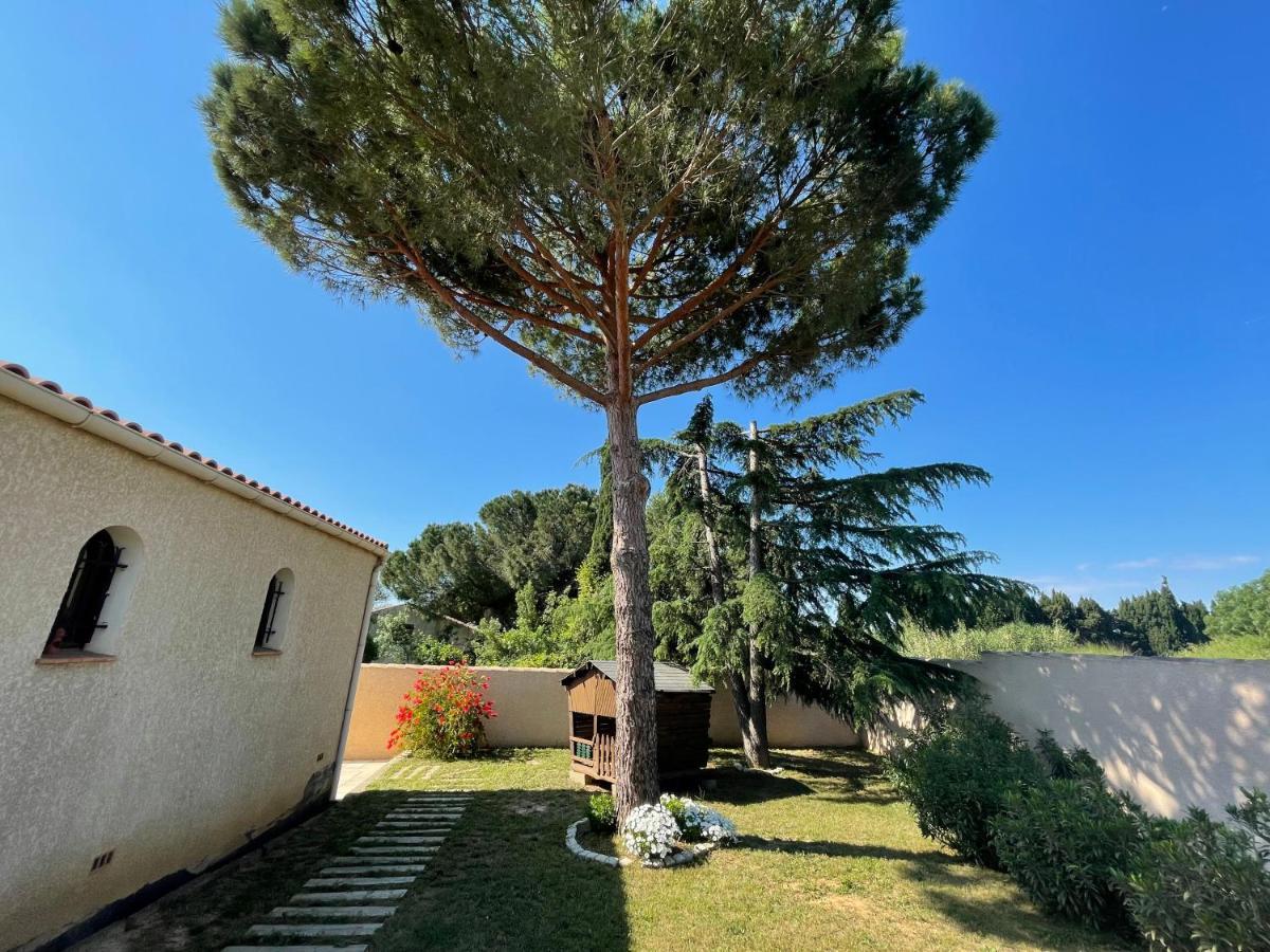 Annexe Des Pins - Studio Gite Avec Piscine & Climatisation Villeneuve-lès-Béziers Kültér fotó